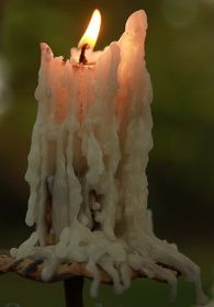 Vela anticuario goteada1.jpg